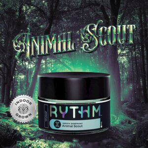 Animal Scout